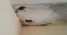'Every room is just rotten': Video shows how pyrite destroyed this woman's home