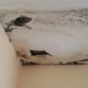 'Every room is just rotten': Video shows how pyrite destroyed this woman's home