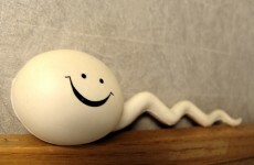 Study finds old men's sperm is just as good as young men's