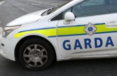 Garda car shortage meant hour delay in child 'abduction' response