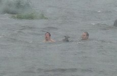 Two men brave floods to save fox cub stranded on a rock