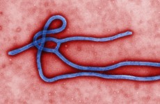 Emergency talks look for ways to halt worst outbreak of Ebola in history