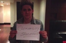 Chicken fillet rolls and Teddy's: Irish celebs reveal what they miss about Ireland