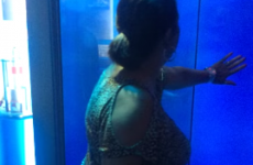 This interactive shark attack prank is pants-wettingly cruel