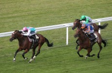 WATCH: Frankel hangs on to maintain unbeaten record