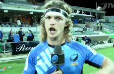 'The fat lady hasn't sung yet' - Honey Badger waves goodbye... for now