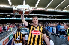 Kilkenny rule Leinster again after swatting disappointing Dubs