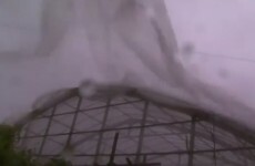 Japan braced for potentially deadly Typhoon Neoguri