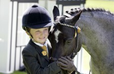Day at the Races: A blagger's guide to horse racing lingo
