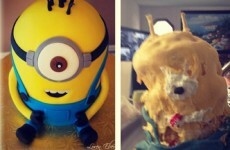 14 people who are worse at baking cakes than you