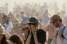 Second music fan dies at Bonnaroo festival in US