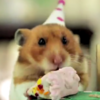 This teeny-tiny birthday party for a teeny-tiny hedgehog is just the cutest