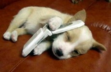 11 signs you're too attached to your mobile phone