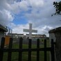 International judge should chair mother-and-baby investigation, survivors say