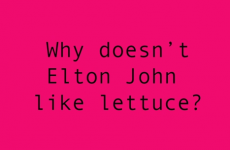 Dubliners react to the stupidest jokes ever