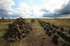 Appeal issued over unauthorised bog cutting