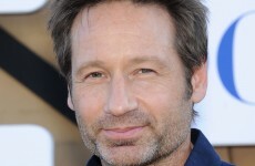 David Duchovny has written a book about farm animals uniting Israel and Palestine