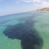 Look at this amazing footage of an enormous school of fish