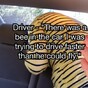 Here are the stupidest excuses law-breaking drivers have given police