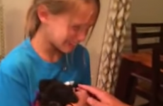 8-year-old girl gets a puppy for her birthday, and reacts with brilliant emotion