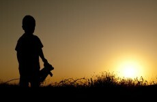 Reports into deaths of five children in State care due today