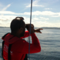 In search of dolphins aboard Charlie Haughey's old yacht