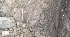 Pic: The human skeleton found outside Trinity College
