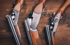 355 guns stolen in Ireland last year - and 53 reported lost