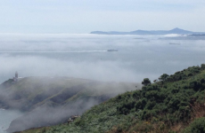 Have you seen the fog covering an eighth of Dublin? Met Éireann says 'it has a mind of its own'
