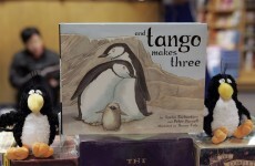 Here are the 'pro-gay' kids books Singapore is clamping down on