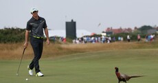 We’ll leave it there so: Rory builds on excellent start, UFC weigh-ins in Dublin and all today's sport