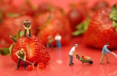 Why people work hard, even when they already have everything they need