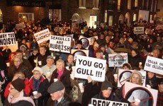 8 of the best reactions to Dublin's 'raucous' seagull hysteria