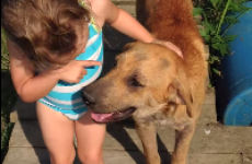 Kid provides hilariously irrefutable evidence that her dog is a girl