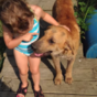 Kid provides hilariously irrefutable evidence that her dog is a girl