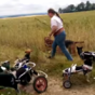 These disabled dogs playing fetch will melt your heart