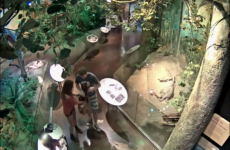 Couple caught on camera stealing a model dinosaur from a museum