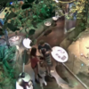 Couple caught on camera stealing a model dinosaur from a museum