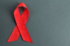 Opinion: 'It's a terrible blow to Aids research – and not the first time lives have been needlessly lost'