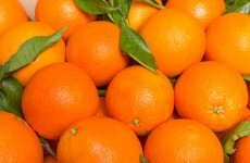 The world's citrus is being destroyed - here's what scientists are doing about it