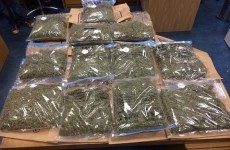 Half a million euro worth of cannabis seized as gardaí target drugs gang
