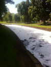 Emergency response under way after "extensive fish kill" on the Tolka