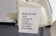 14 of the most unnecessary things that ever happened
