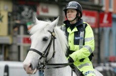 Here's some of what the Gardaí's animals got up to last year