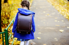 No Education Welfare Officers in Dublin 3, 5 or 17