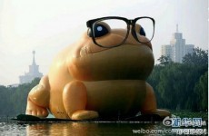 China wants to censor a giant inflatable toad