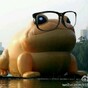China wants to censor a giant inflatable toad