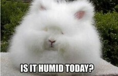 8 body woes every woman dreads in warm weather