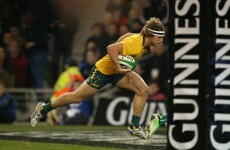 No room for Cummins and Mowen as Australia name Rugby Championship squad