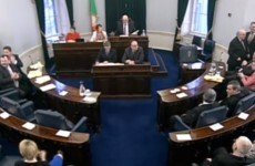 Nine months after it was saved, the Seanad is finally being reformed